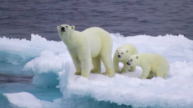 Sau khủng hoảng năng lượng, Bắc Cực có thể là điểm nóng tiếp theo của Nga và EU - Ảnh 1.