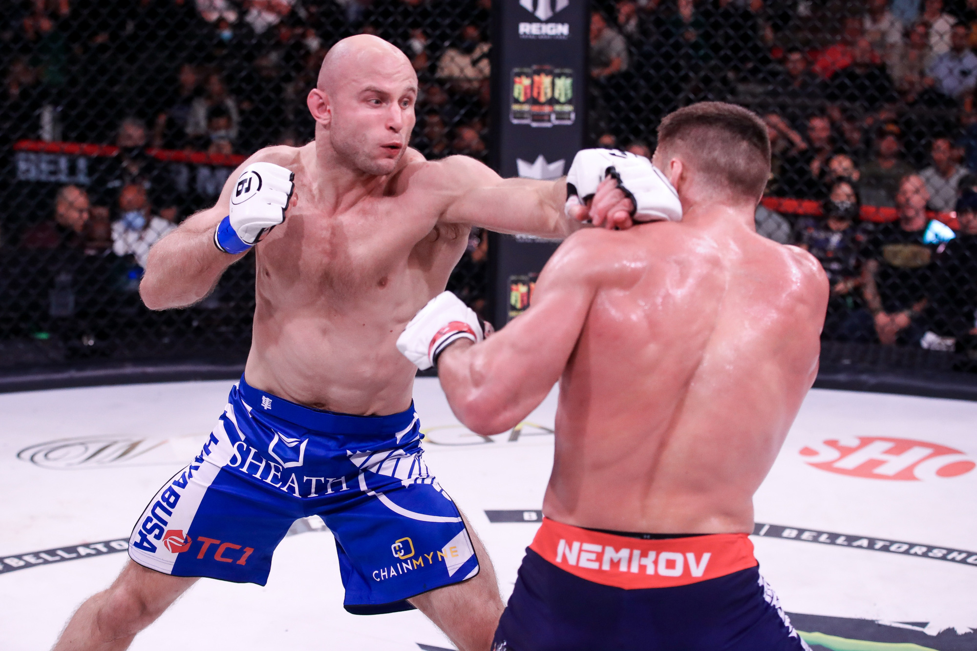 Vadim Nemkov bảo vệ thành công đai Bellator sau chiến thắng áp đảo trước kẻ thách thức Julius Anglickas - Ảnh 3.