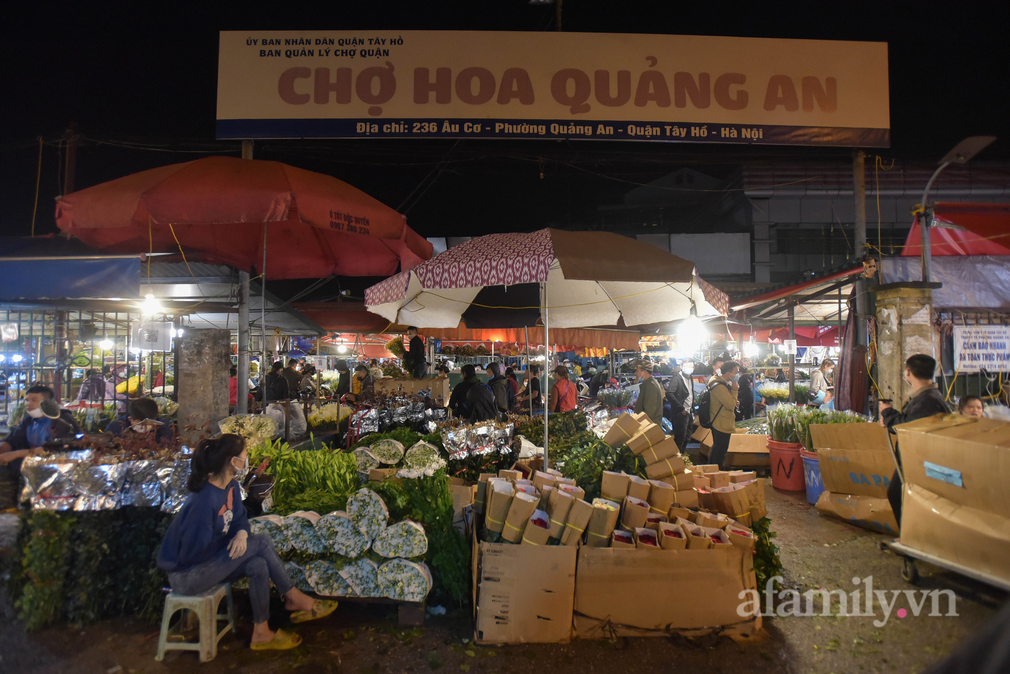 Nửa đêm, chợ hoa Quảng An nhộn nhịp người mua, kẻ bán trước ngày 20/10 - Ảnh 1.