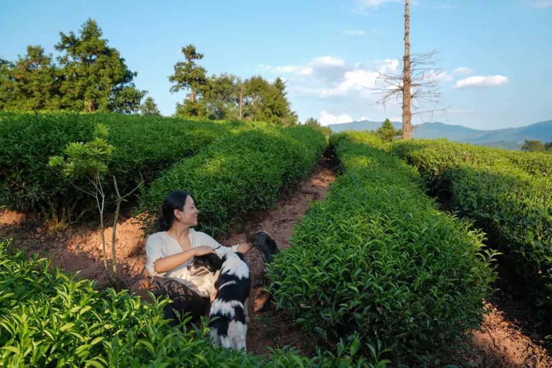 Cuộc sống không điều hòa, không điện thoại của người phụ nữ bỏ phố lên núi sửa nhà - Ảnh 1.