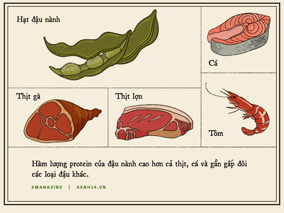 Hạt vàng đậu nành và những giá trị theo cùng sức khỏe người Việt - Ảnh 4.