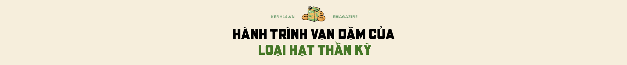 Hạt vàng đậu nành và những giá trị theo cùng sức khỏe người Việt - Ảnh 1.