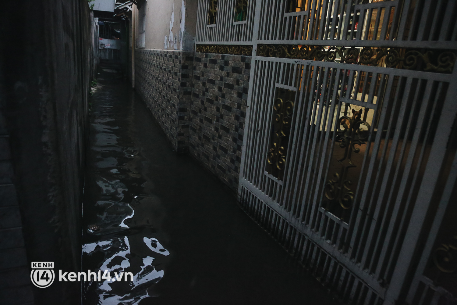 Người Sài Gòn vất vả lội nước, ngã sõng soài trên đường ngập sâu do triều cường dâng cao - Ảnh 15.