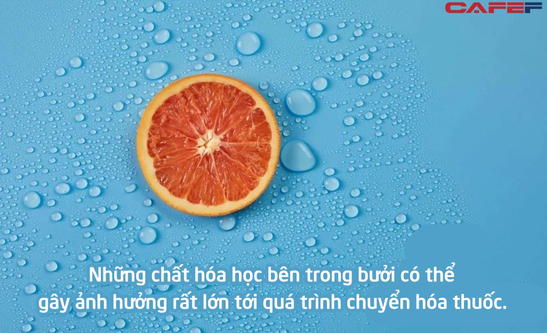 Tuyệt đối không nên ăn loại quả này dù chỉ 1 miếng sau khi uống thuốc: Vitamin chẳng thấy đâu, tốn tiền mua thuốc thành công cốc - Ảnh 1.