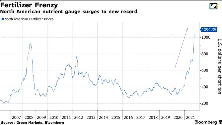 Phân bón tăng chóng mặt, thị trường toàn cầu phát tín hiệu SOS - Ảnh 2.