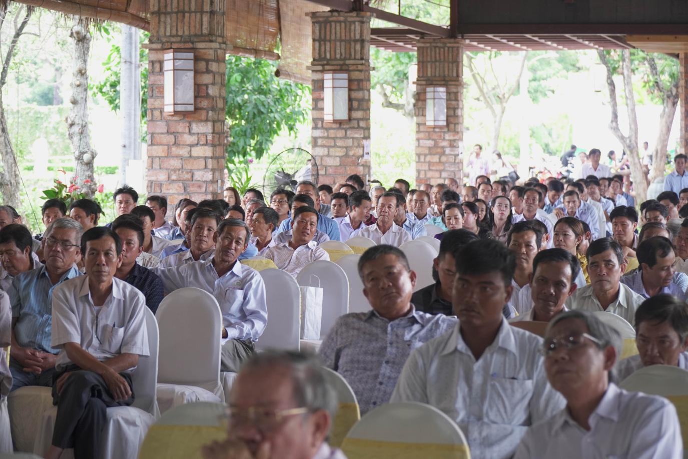 Một số giải pháp canh tác lúa gạo an toàn - Ảnh 2.