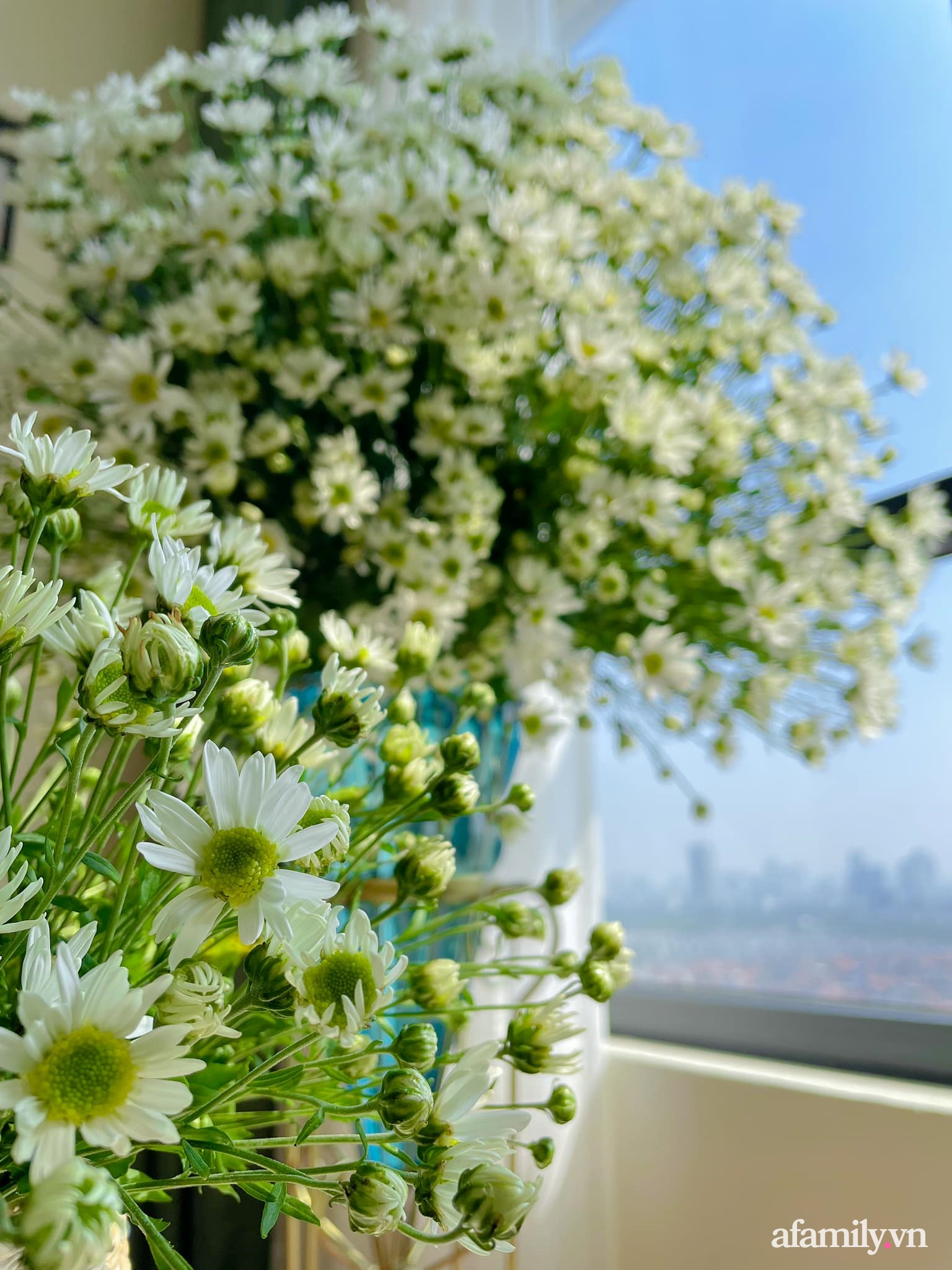 Cắm hoa: Nghệ thuật cắm hoa đem lại không khí tươi mới và thư thái cho không gian sống của bạn. Những bức ảnh về cách cắm hoa độc đáo và sáng tạo sẽ khiến bạn cảm thấy thích thú và muốn tìm hiểu về chủ đề này hơn.
