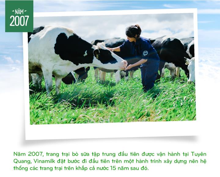 Vinamilk: 15 năm xây hệ thống trang trại bò sữa với “bộ sưu tập” tiêu chuẩn quốc tế - Ảnh 2.