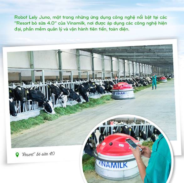 Vinamilk: 15 năm xây hệ thống trang trại bò sữa với “bộ sưu tập” tiêu chuẩn quốc tế - Ảnh 6.