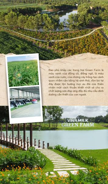 Vinamilk: 15 năm xây hệ thống trang trại bò sữa với “bộ sưu tập” tiêu chuẩn quốc tế - Ảnh 11.