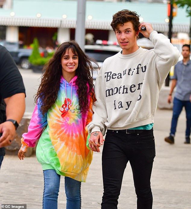 Hé lộ lí do Shawn Mendes và Camila Cabello chia tay sau 2 năm, tình tiết thế nào mà ai cũng ngán ngẩm? - Ảnh 2.