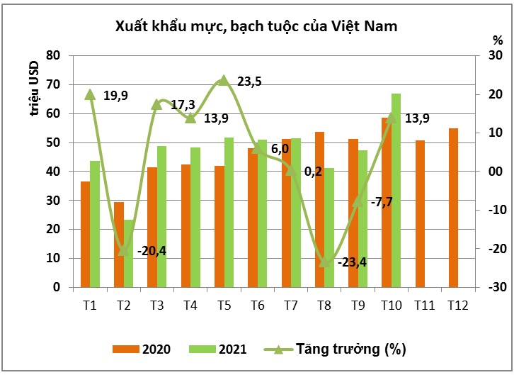 Xuất khẩu mực, bạch tuộc dự kiến đạt hơn 590 triệu USD trong năm 2021 - Ảnh 1.