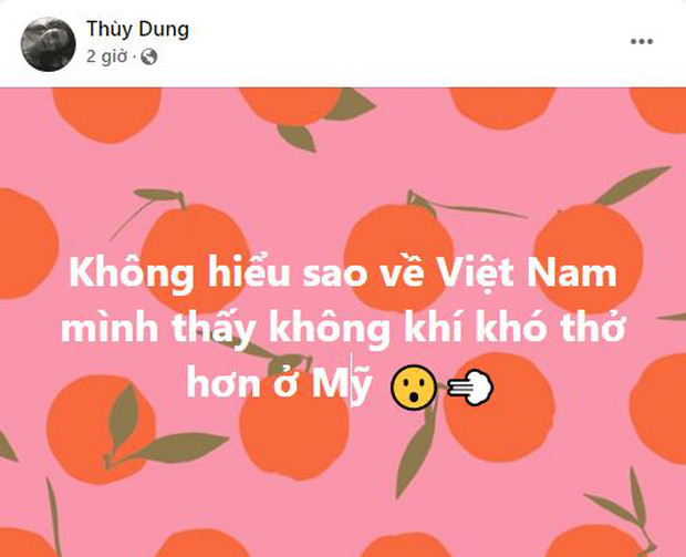 Giữa bão chỉ trích status Việt Nam khó thở hơn Mỹ, Hoa hậu Thuỳ Dung bị đào bảng điểm THPT thấp đến sốc, suýt ở lại lớp - Ảnh 4.