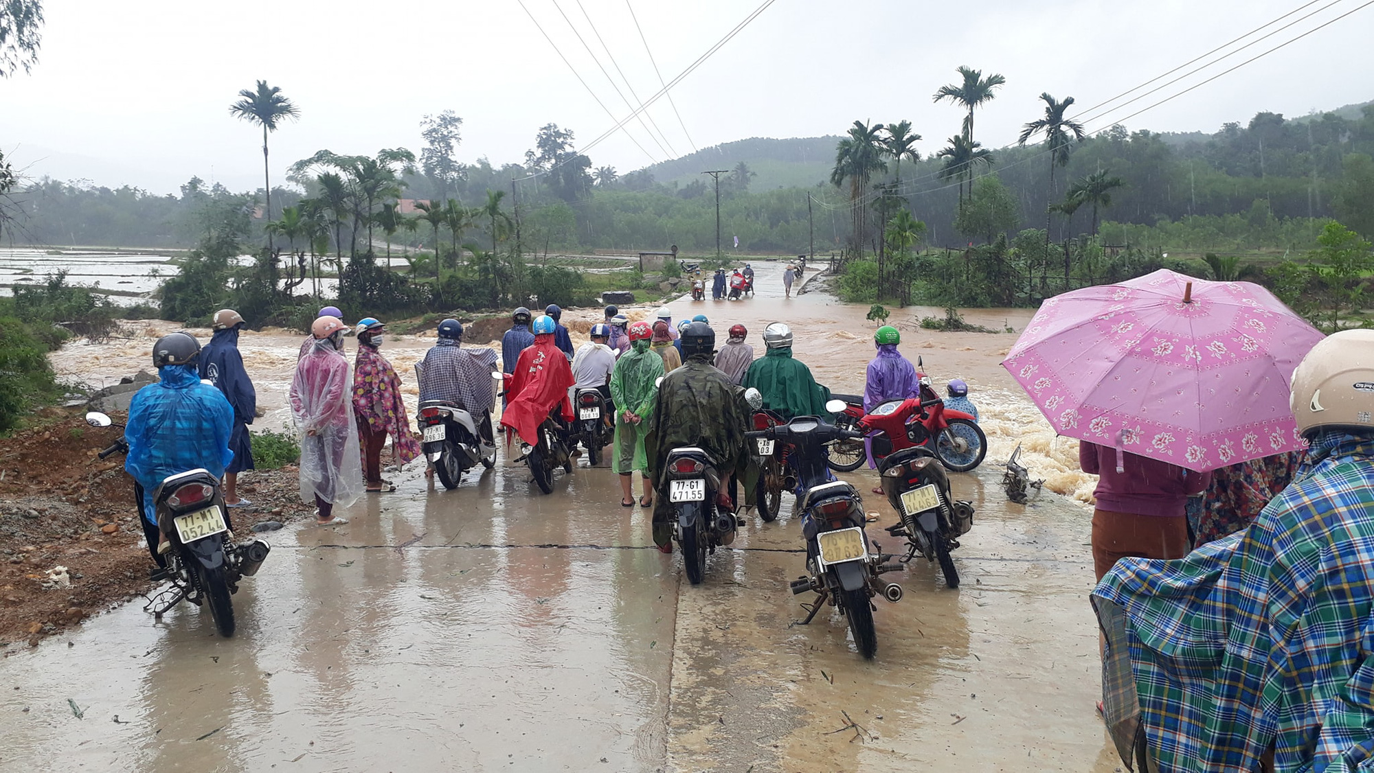 Hơn 1.000 nhà dân ở Bình Định bị lũ bao vây, nước chảy cuồn cuộn khiến giao thông tê liệt  - Ảnh 2.