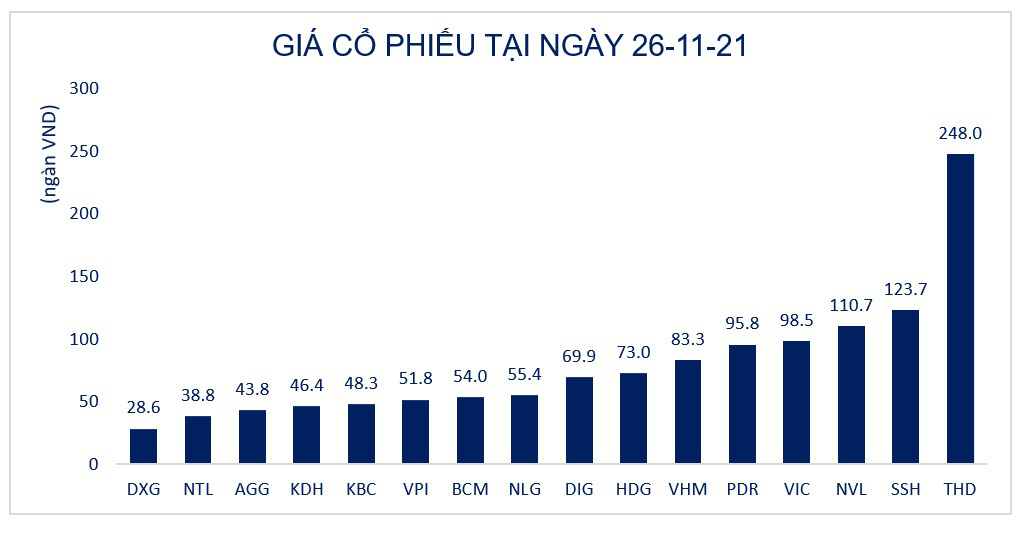 Đất Xanh Group hủy phương án phát hành cổ phiếu riêng lẻ - Ảnh 1.