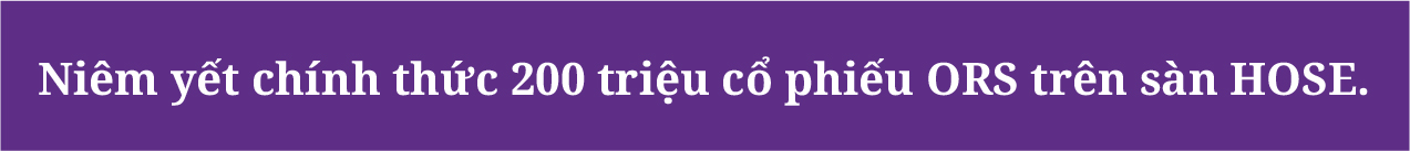 Hai trụ cột tăng trưởng bền vững của chứng khoán Tiên Phong: Ngân hàng đầu tư (IB) và Môi giới - Ảnh 1.