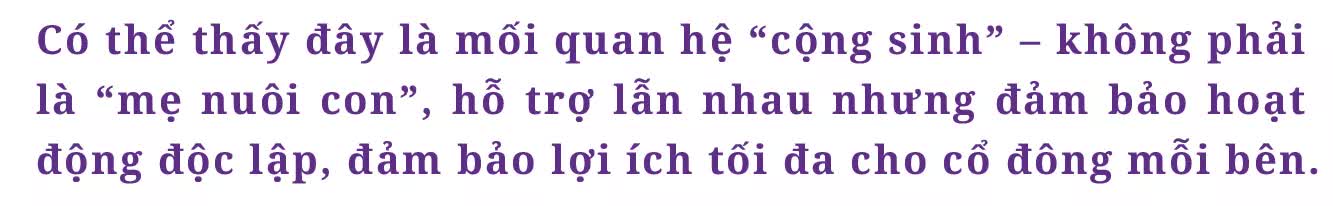 Hai trụ cột tăng trưởng bền vững của chứng khoán Tiên Phong: Ngân hàng đầu tư (IB) và Môi giới - Ảnh 6.