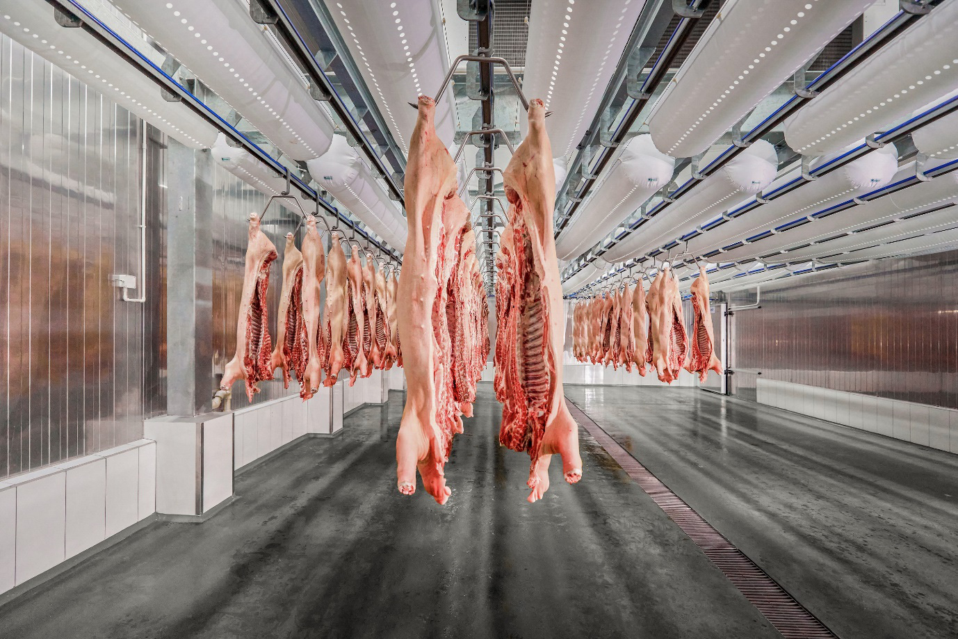 Masan MEATLife hợp tác chiến lược với De Heus, dồn lực cho thịt mát - Ảnh 1.