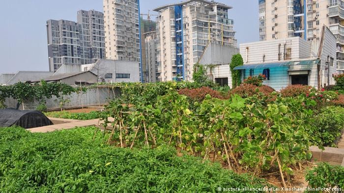 Khoa học chứng minh: Những đứa trẻ phát triển tốt hơn nếu cha mẹ dành cho con điều tuyệt vời này mỗi ngày! - Ảnh 1.