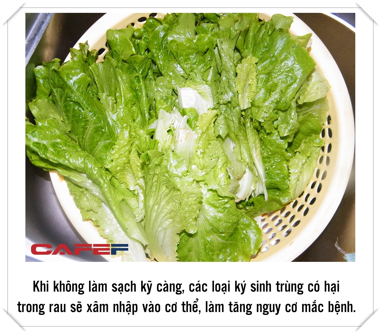 3 loại rau được xem là “tổ ký sinh trùng”, vừa ngon vừa rẻ nhưng sẽ là Ổ BỆNH nếu không được chế biến sạch sẽ - Ảnh 1.