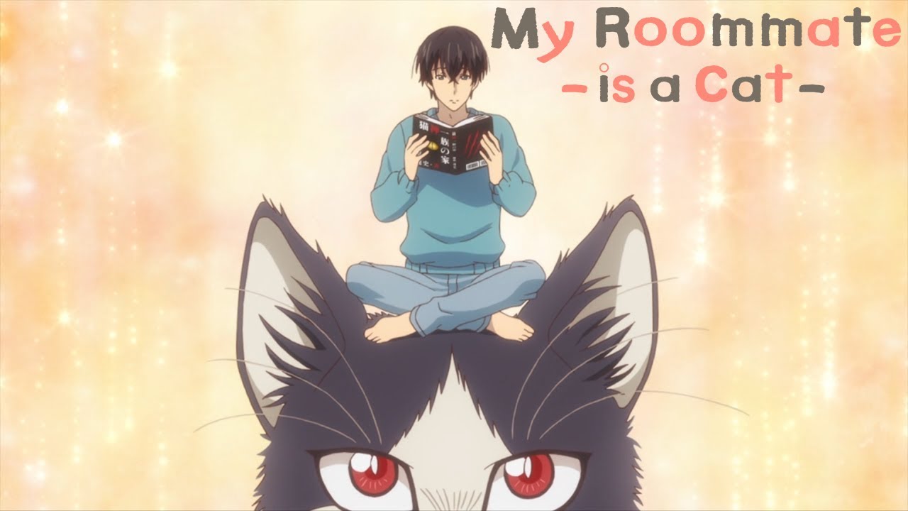 Top 5 anime có chủ đề về động vật hay nhất mà bạn nên xem một lần trong đời - Ảnh 2.