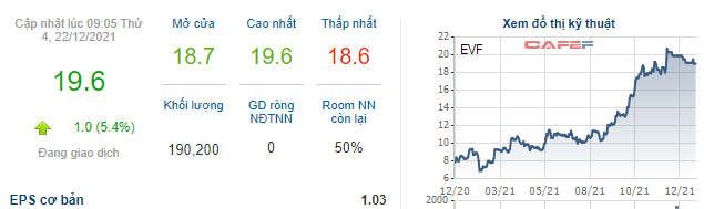 Hơn 300 triệu cổ phiếu của một doanh nghiệp tài chính sắp chào sàn HoSE - Ảnh 2. Hơn 300 triệu cổ phiếu của một doanh nghiệp tài chính sắp chào sàn HoSE - Ảnh 2.