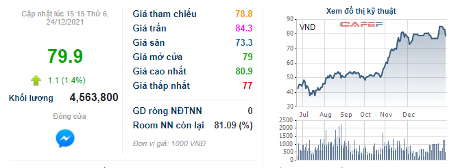 VNDirect muốn chào bán 2.000 tỷ đồng trái phiếu ra công chúng - Ảnh 2.