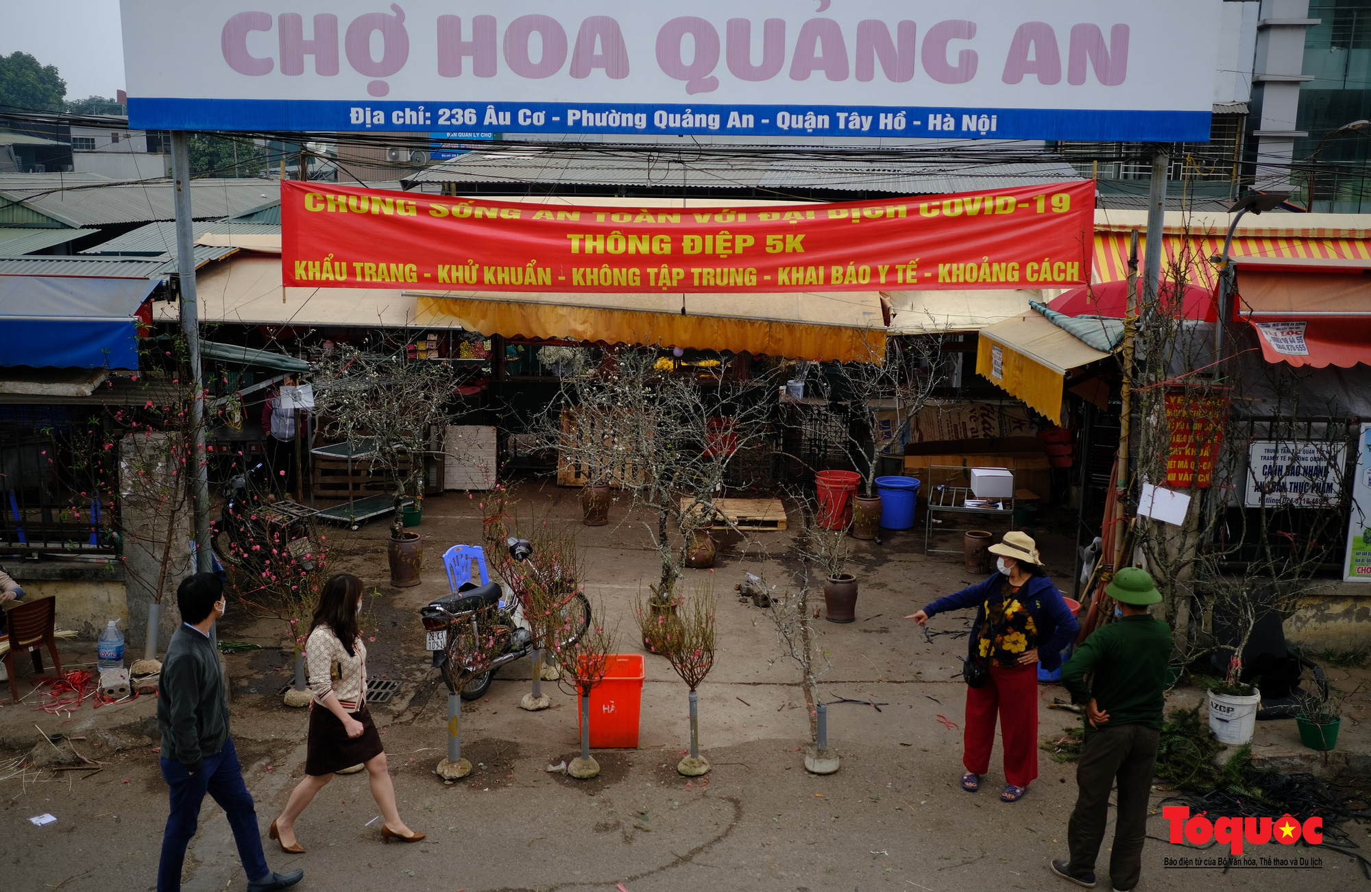 Hà Nội: Đào Nhật Tân nở sớm xuống phố phục vụ Tết Dương lịch - Ảnh 10.