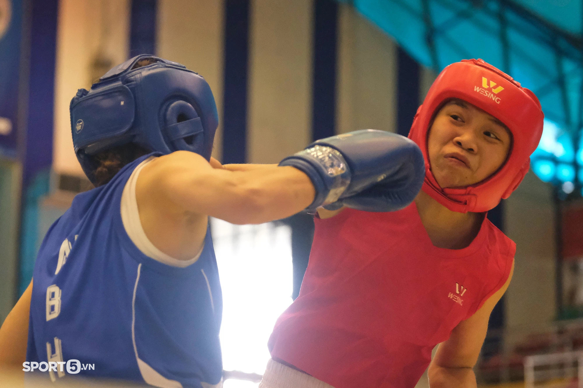 &quot;Tuổi 17 bẻ gãy sừng trâu&quot; tại giải vô địch Boxing nam, nữ toàn quốc 2021 - Ảnh 1.