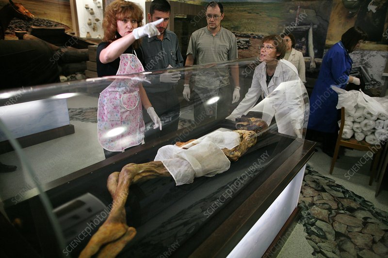 Hình xăm trên xác ướp hơn 5000 năm tuổi  VnExpress