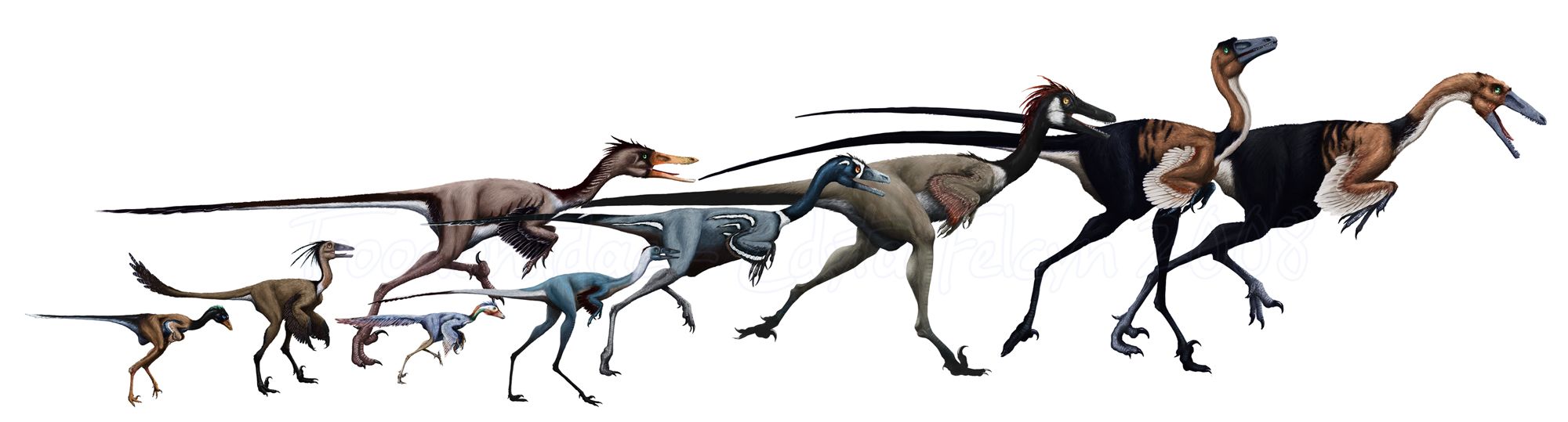 Một loài khủng long mới được phát hiện tại Tây Ban Nha có vẻ ngoài gần giống như loài chim hiện đại - Ảnh 1.