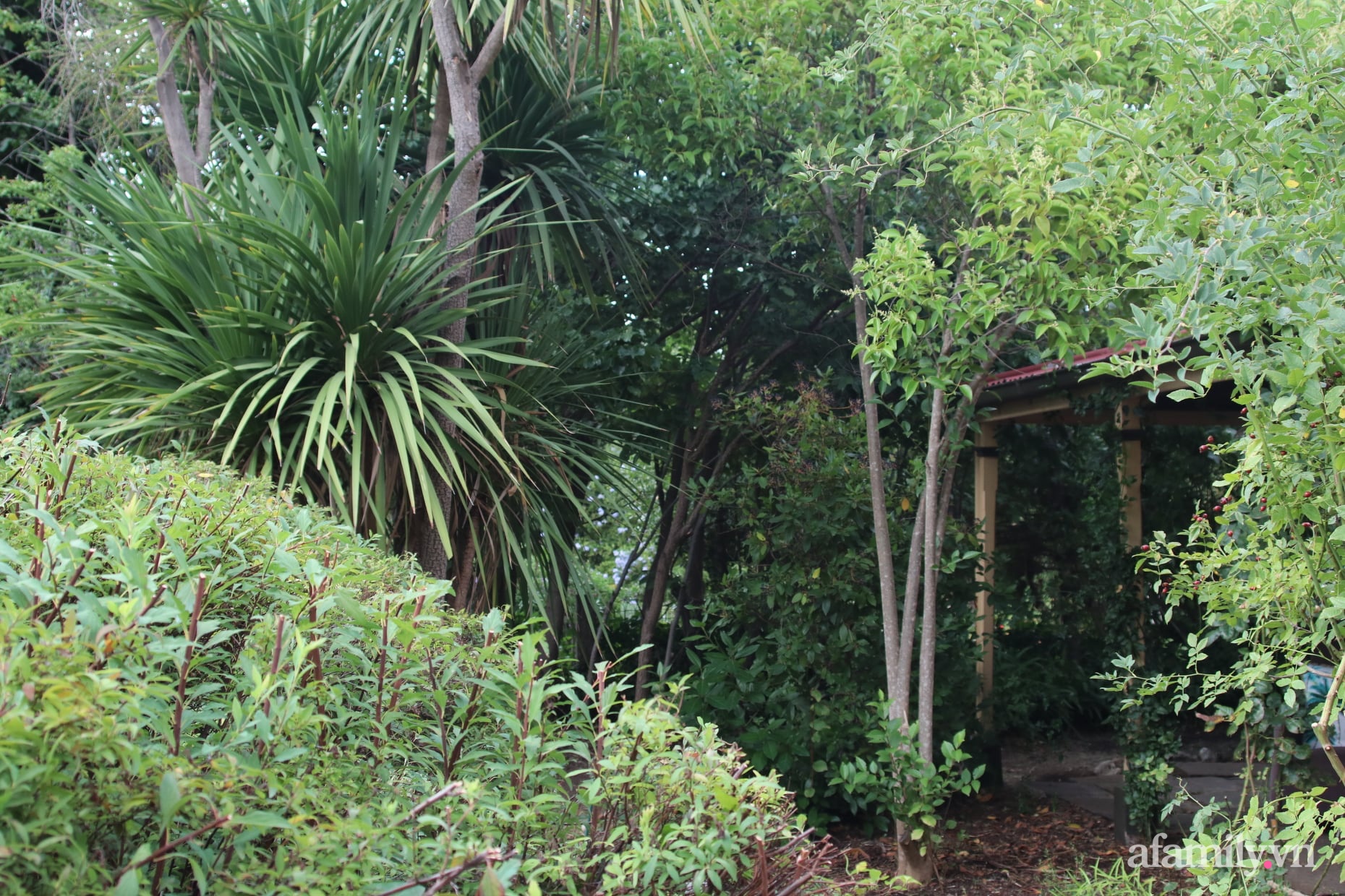 Căn nhà cổ xây cách đây 160 năm đẹp bình yên giữa vườn cây xanh mát ở Úc - Ảnh 19.