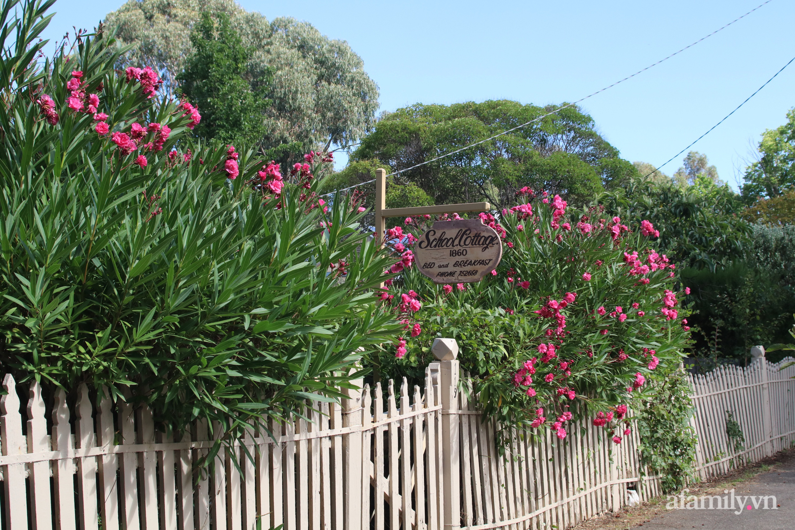 Căn nhà cổ xây cách đây 160 năm đẹp bình yên giữa vườn cây xanh mát ở Úc - Ảnh 4.