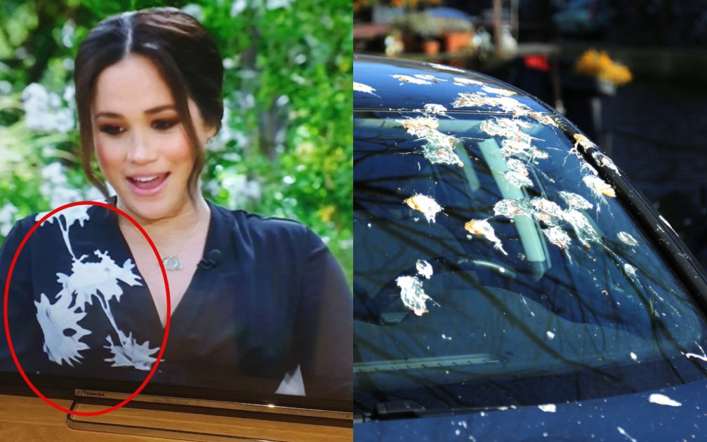 Bóc giá chiếc váy bị chê “dính phân chim” của Meghan Markle: Hàng hiệu giá 108 triệu, “hack dáng” cực đỉnh cho bà bầu! - Ảnh 3.