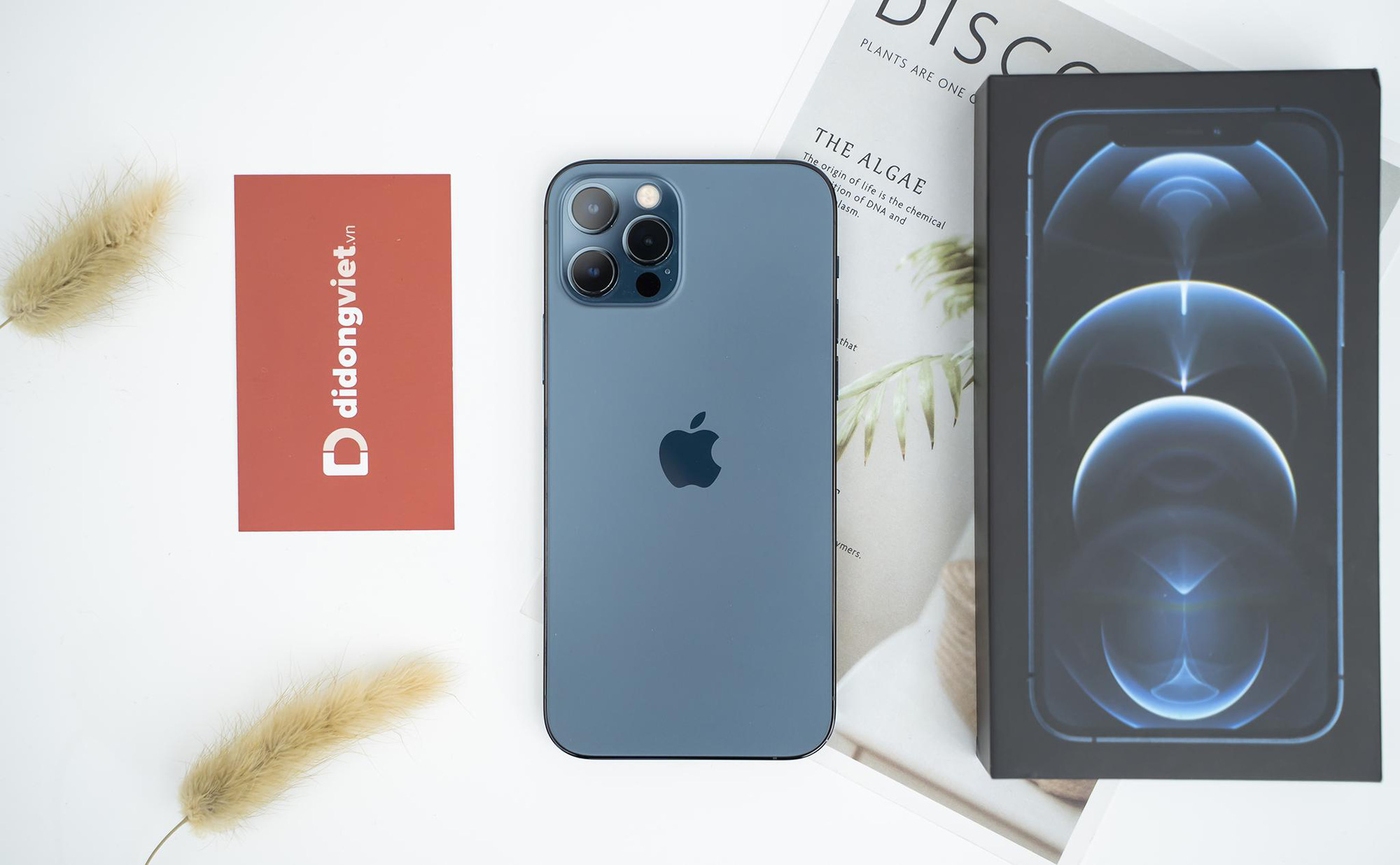Bảng giá iPhone gần cuối tháng 3 - iPhone 12 giảm gần 7 triệu, iPhone 8 về giá tầm 5 triệu - Ảnh 3.