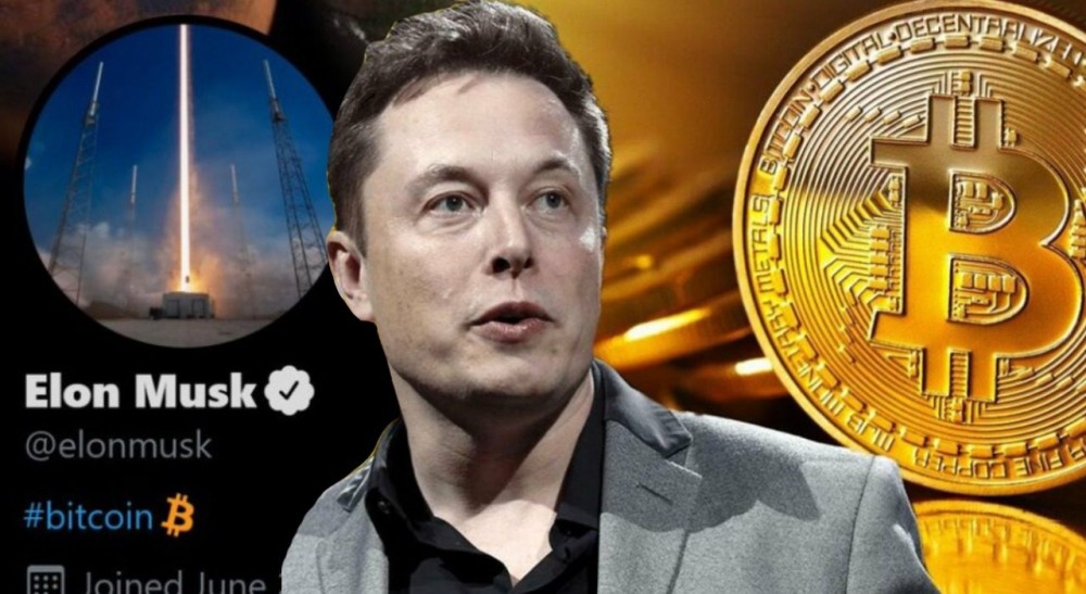 Elon Musk viết 8 chữ, Bitcoin lập tức quay đầu tăng điểm thần kỳ - Ảnh 1.