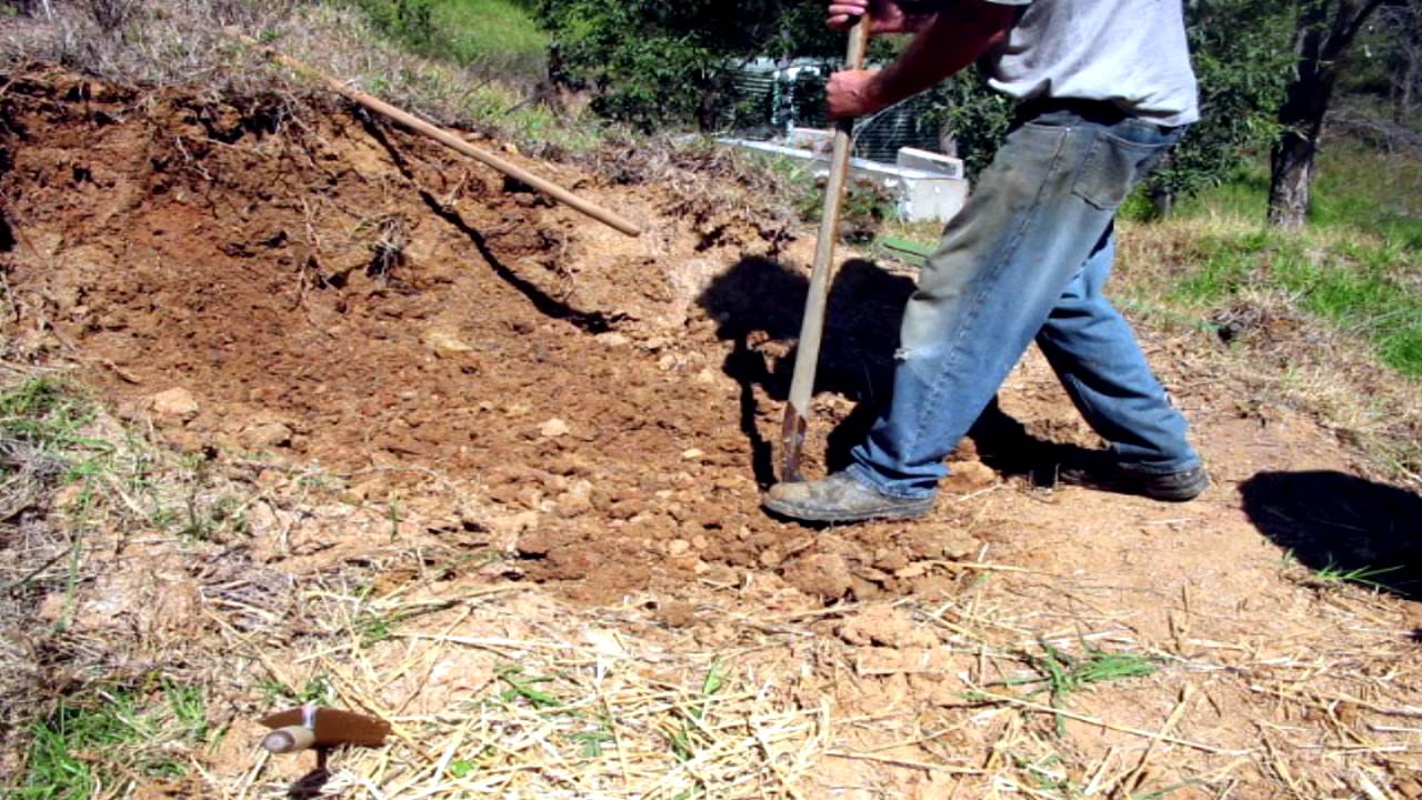 Đào rãnh dẫn nước, lão nông phát hiện 1 chiếc thùng nhựa, bên trong là thứ ai cũng muốn có - Ảnh 1.