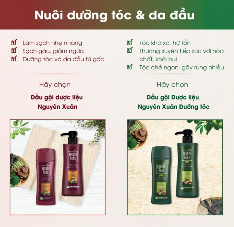 Bí quyết chăm sóc tóc đỉnh của chóp được hội chị em chia sẻ rần rần - Ảnh 2.