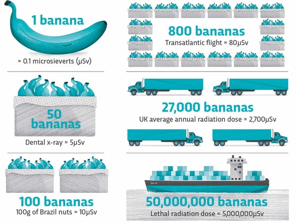 Cần ăn bao nhiêu quả chuối để cơ thể bạn bị nhiễm phóng xạ chết người? - Ảnh 1.