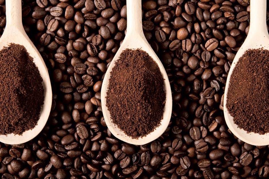 Sự thật về cà phê chồn đắt như vàng: Ly cà phê bịp bợm đạp trên số phận đau thương của những chú cầy hương - Ảnh 3.