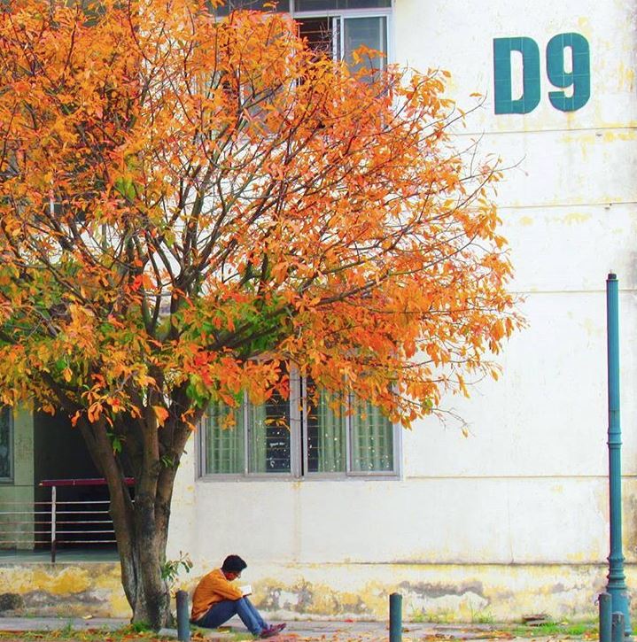 Đại học danh giá bậc nhất Hà Nội, đẹp như phim Trái tim mùa thu: Học sinh nếu 3 môn không đạt từ 9 điểm trở lên thì đừng liều đăng ký - Ảnh 11.