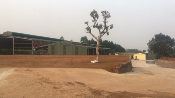 Tam Nông (Phú Thọ): Ngang nhiên xây dựng nhà xưởng không phép trên đất rừng sản xuất - Ảnh 1.