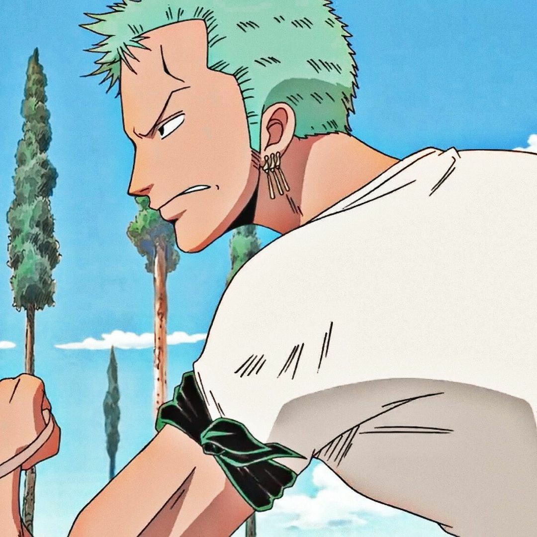 One Piece: Nhan sắc Zoro trước timeskip đã khiến nhiều fan girl nhận vơ chồng mình và muốn rụng trúng vì anh - Ảnh 8.