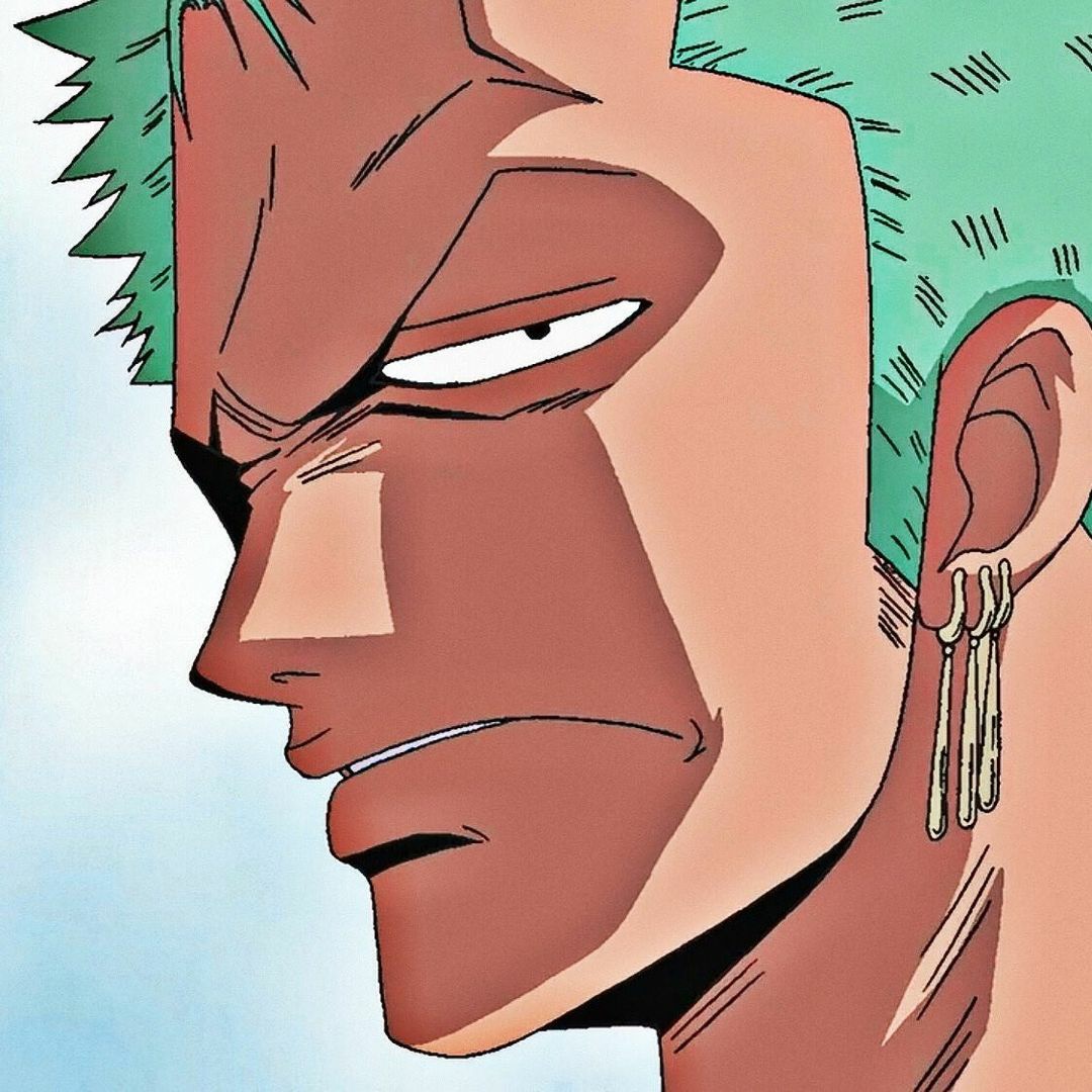 One Piece: Nhan sắc Zoro trước timeskip đã khiến nhiều fan girl nhận vơ chồng mình và muốn rụng trúng vì anh - Ảnh 10.