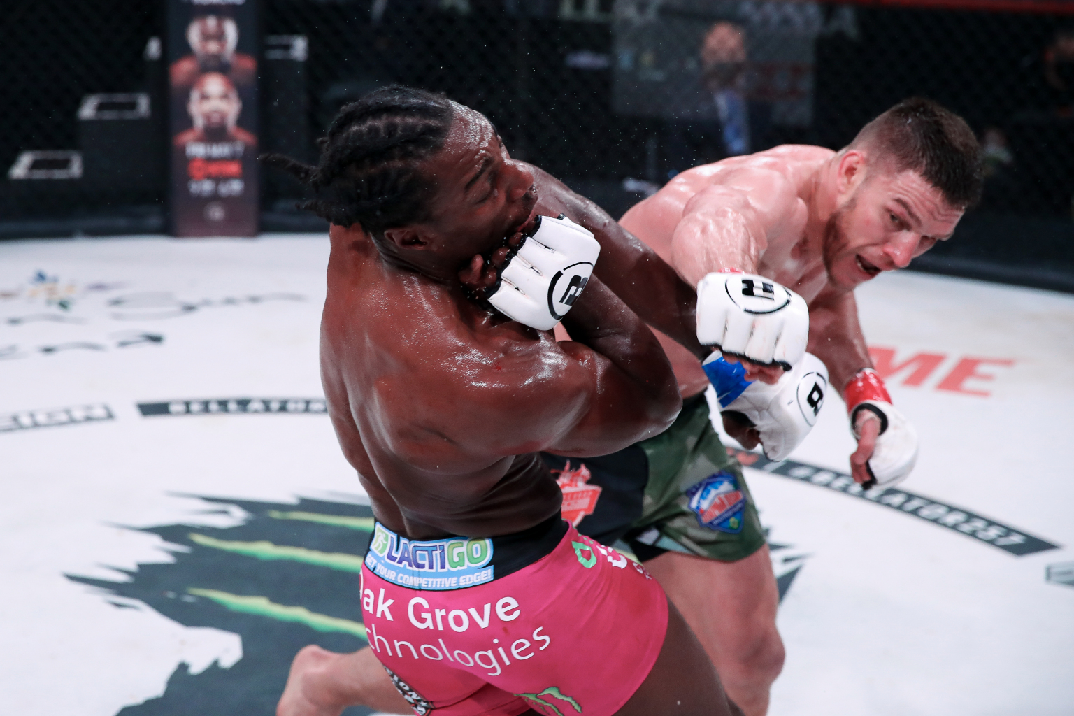 Vadim Nemkov bảo vệ thành công đai Bellator sau màn đại chiến cùng Phil Davis, tiến thêm một bước tới phần thưởng 1 triệu USD - Ảnh 6.