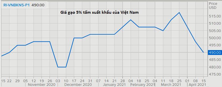 Giá gạo xuất khẩu của cả Việt Nam và Ấn Độ đều lao dốc xuống thấp nhất nhiều tháng - Ảnh 1.