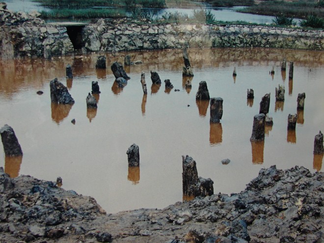 Cấp phép thăm dò khảo cổ tại một số khu vực thuộc di tích lịch sử Bạch Đằng, tỉnh Quảng Ninh - Ảnh 1.