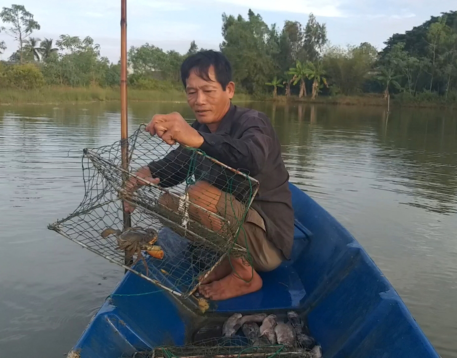 Nông dân dùng tuyệt chiêu bắt cua biển ngon nhất miền Tây - Ảnh 1.