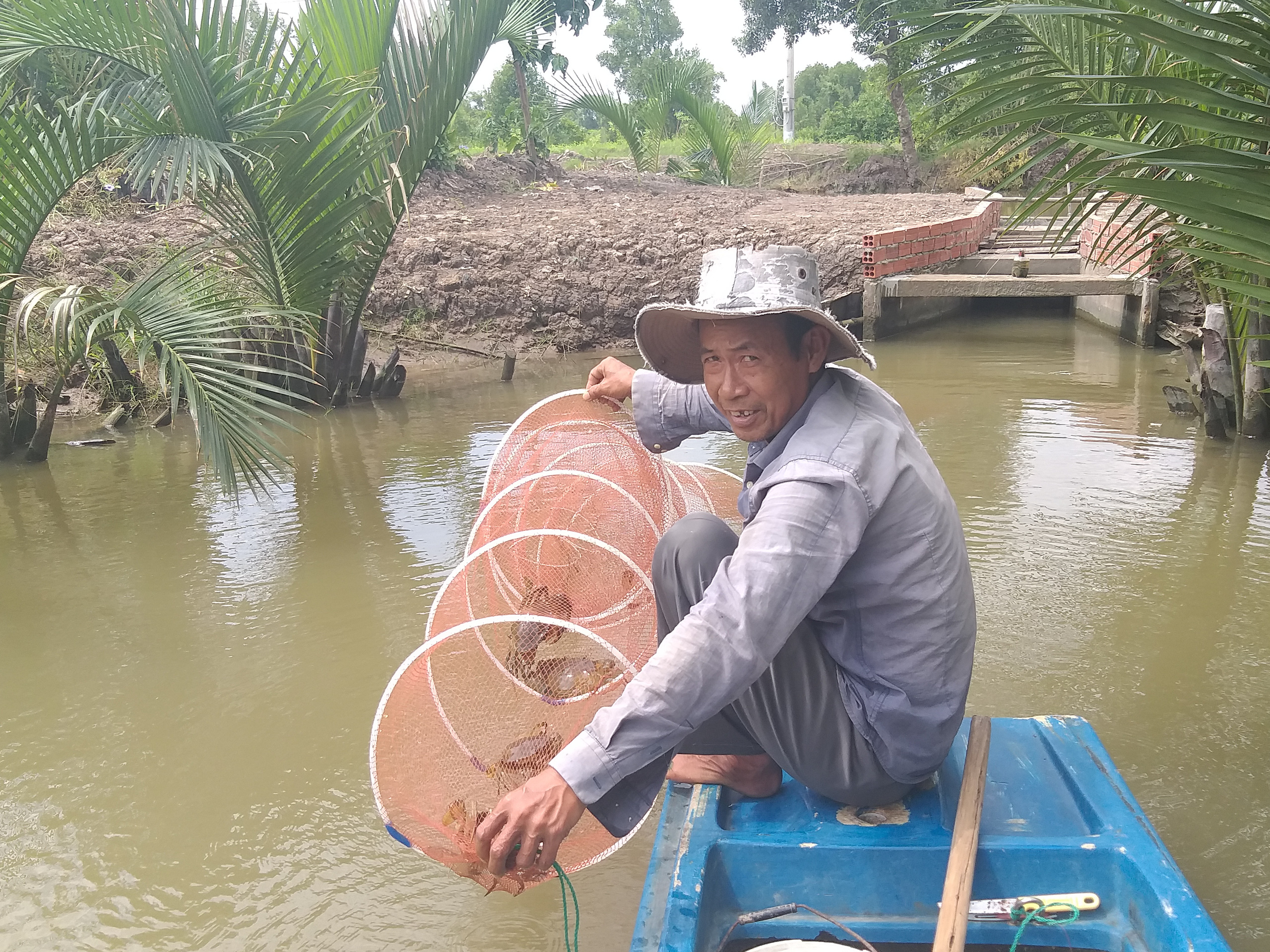 Nông dân dùng tuyệt chiêu bắt cua biển ngon nhất miền Tây - Ảnh 2.