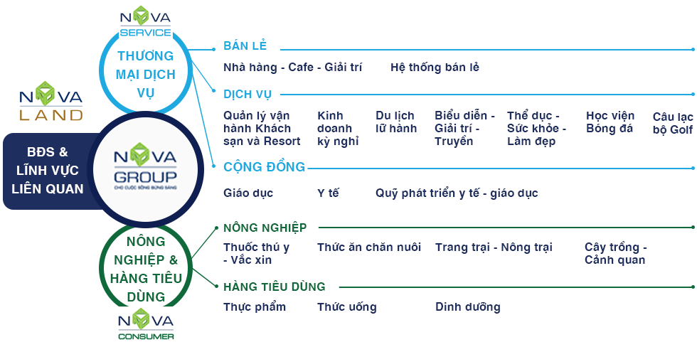 Novaland hé lộ chiến lược kinh doanh năm 2021 - Ảnh 17.